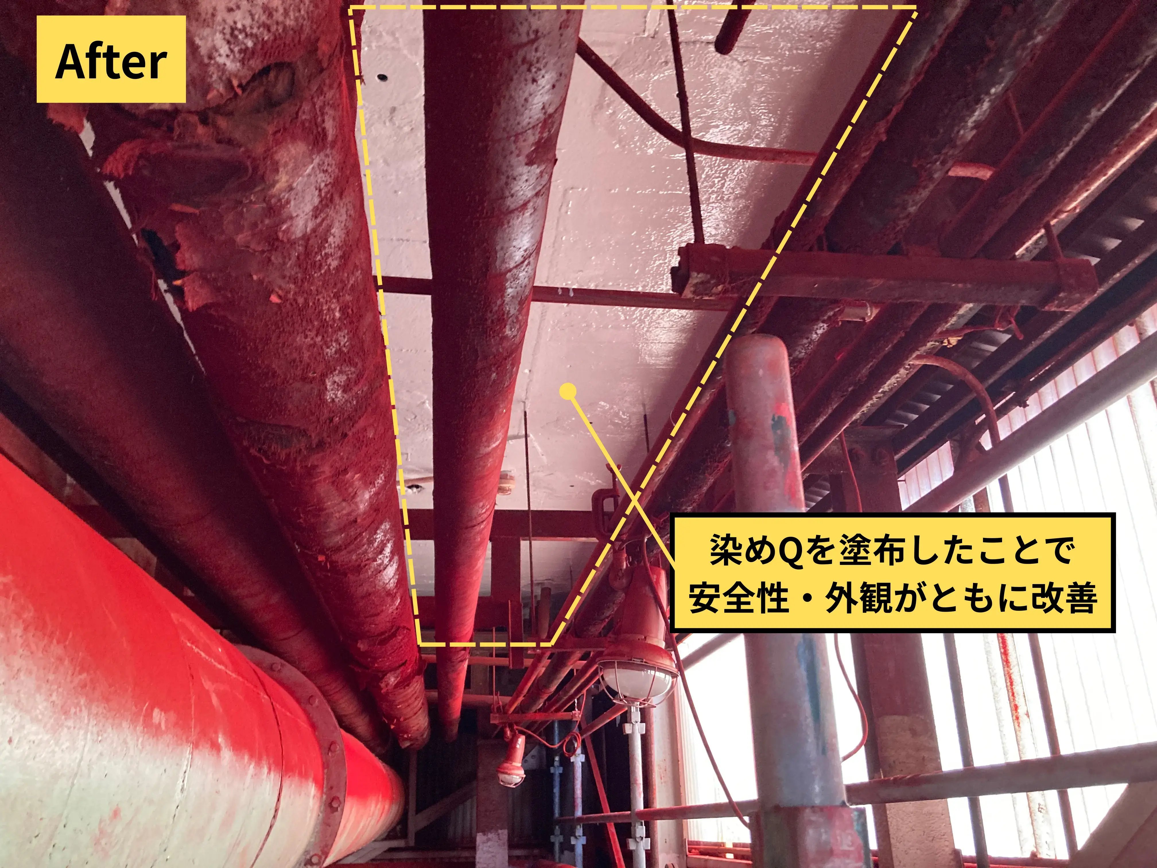 染めQ_After (1)